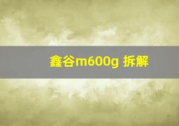 鑫谷m600g 拆解